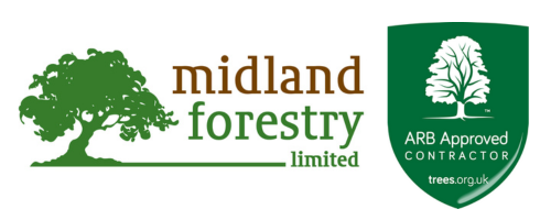 Midland Forestry